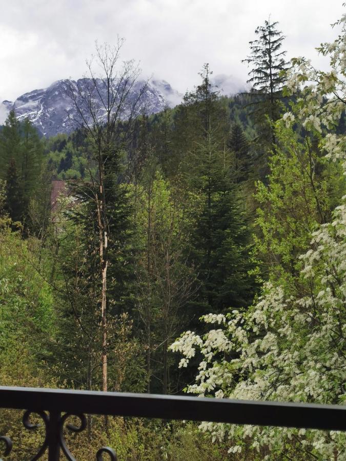 Apartamenty VILLA SKI-BÓWKI Zakopane Exterior foto